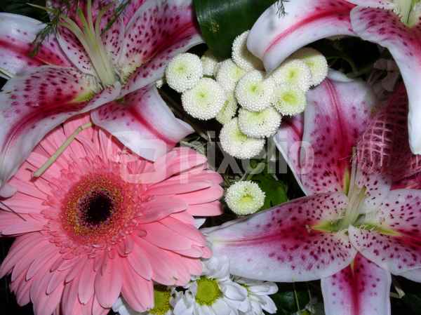 Blumen05