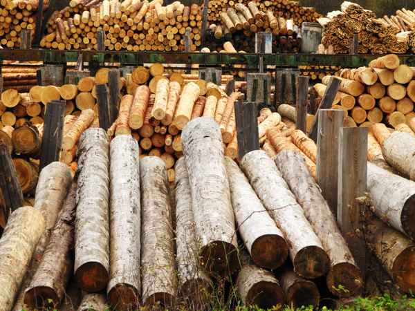 Rohstoff Holz - im Sägewerk