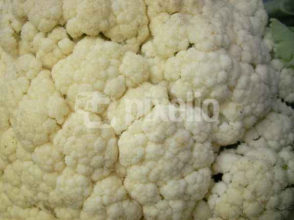 Blumenkohl