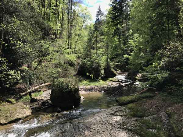 Eistobel im Westallgäu / Foto: Alexander Hauk