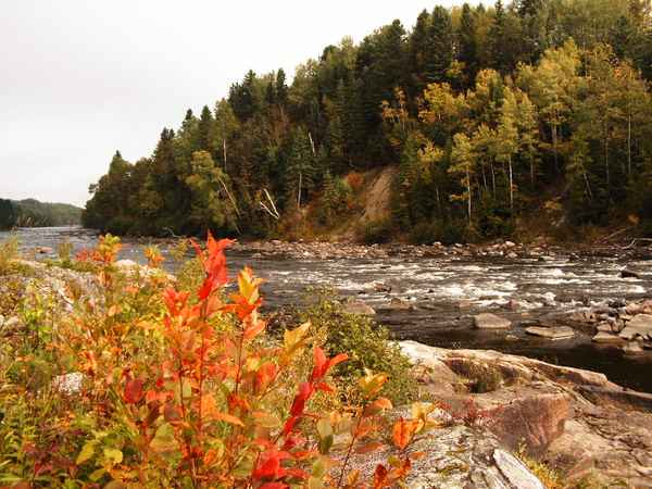 Rast im Nationalpark im Osten von Kanada