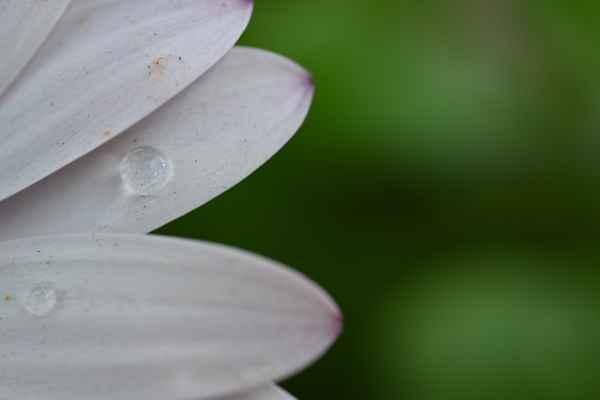 Wassertropfen