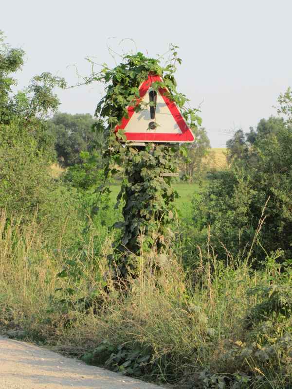 Vorsicht Natur!