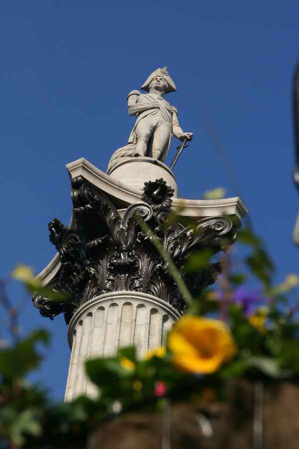 Nelson's Column  von unten