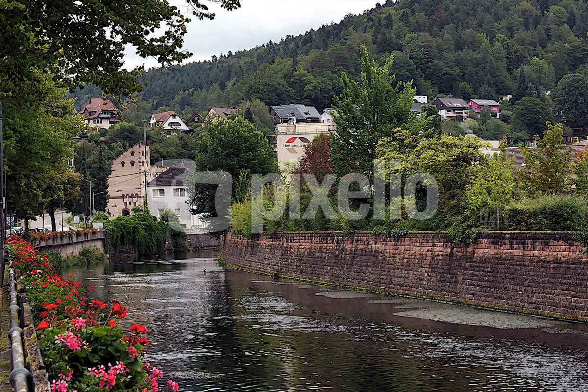 Enz in Neuenbürg