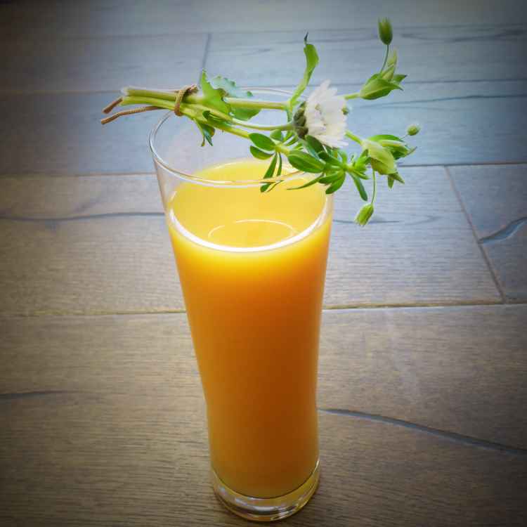 Karotte-Mango-Shake