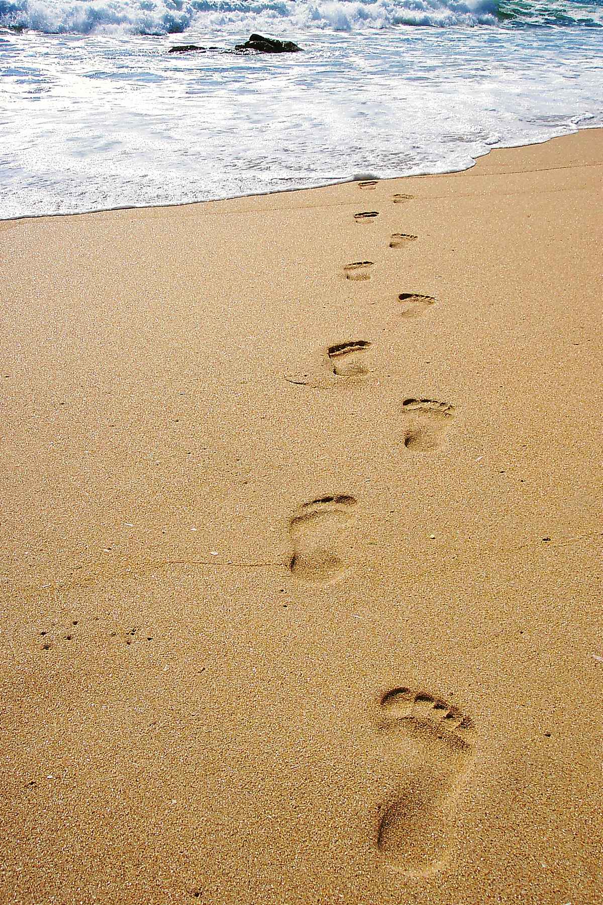 Spuren im Sand