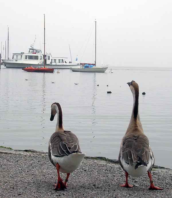 Diessen/Ammersee