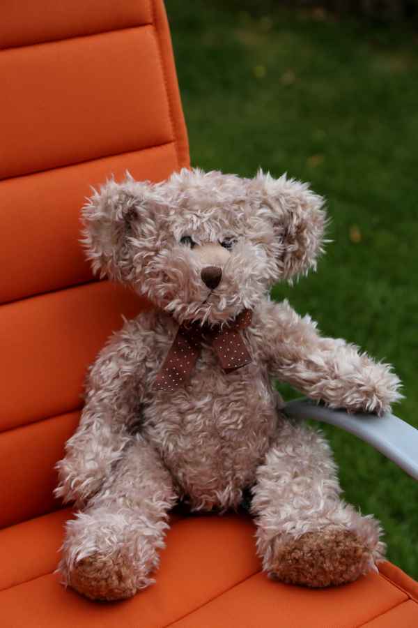 Teddy 2