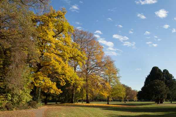 es wird herbstlich