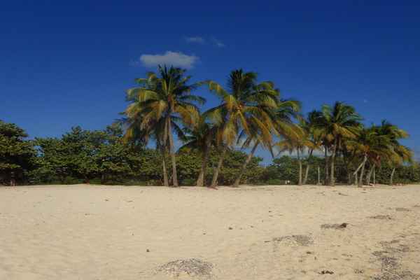 Playa Giron 1
