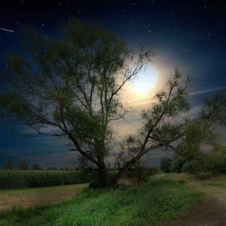 Landschaft mit Vollmond