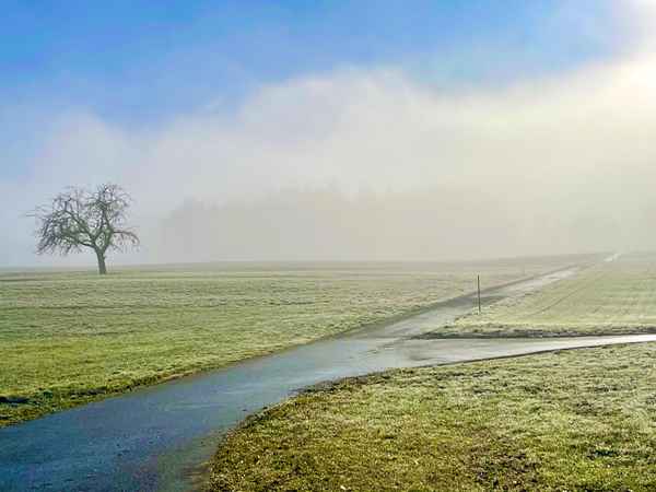 Vor dem Frühjahr_2