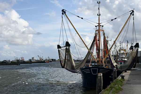 Fischkutter beim Entladen