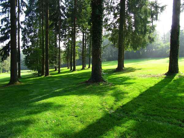 Gepflegte Wald- und Parklandschaft