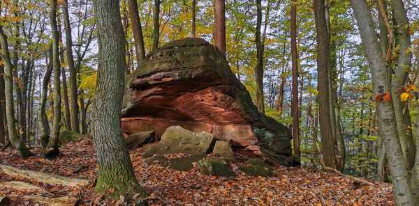 ein dicker Brocken...