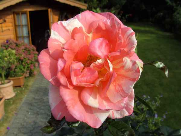 Herbstbeginn 2009