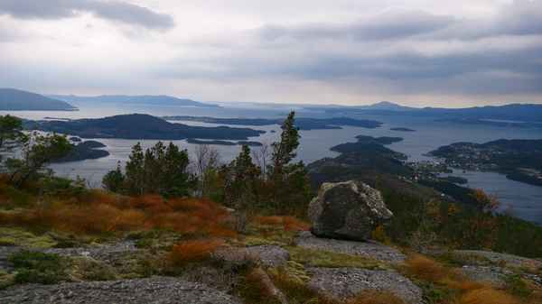 Felsen vor Fjordlandschaft
