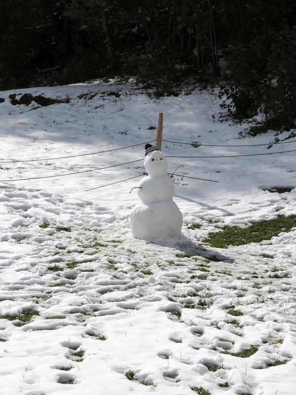 Der erste Schneemann 2014