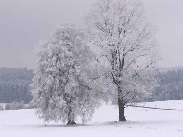 Winterlandschaft