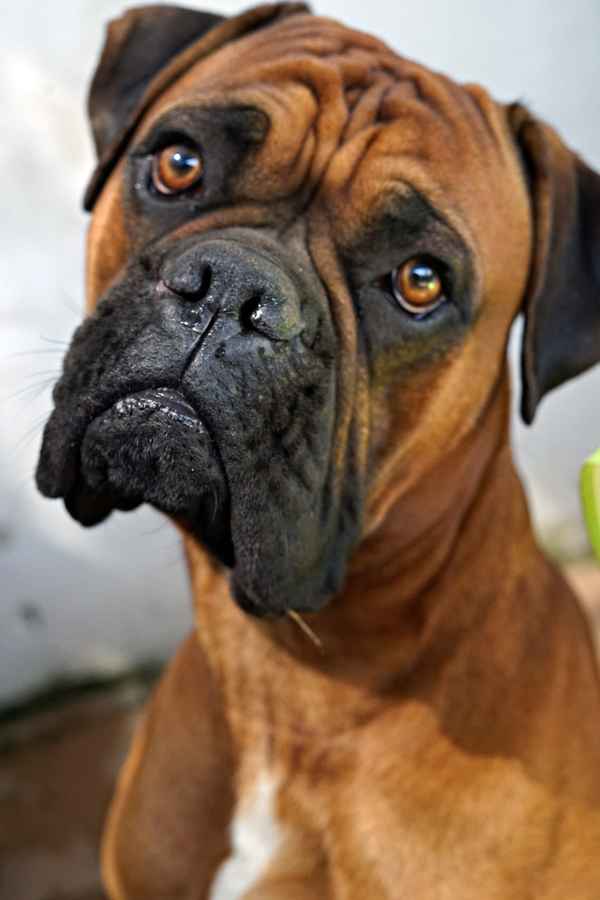 Diego