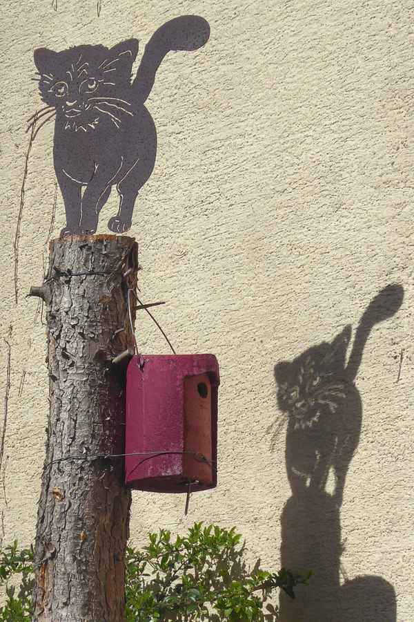 :-) Tierfreund :-)