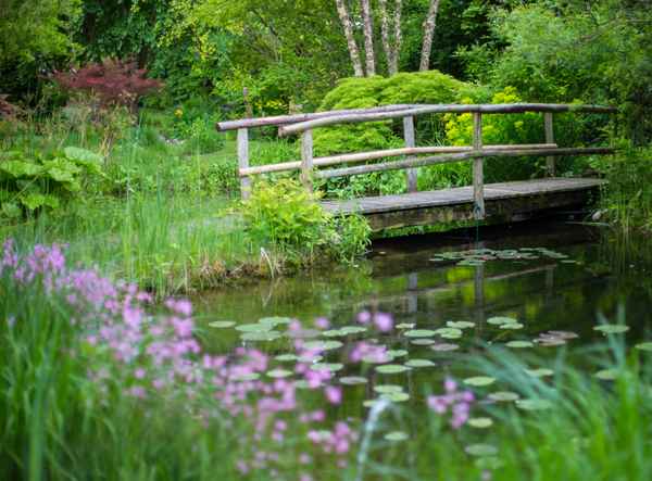 Gartentraum mit Brücke