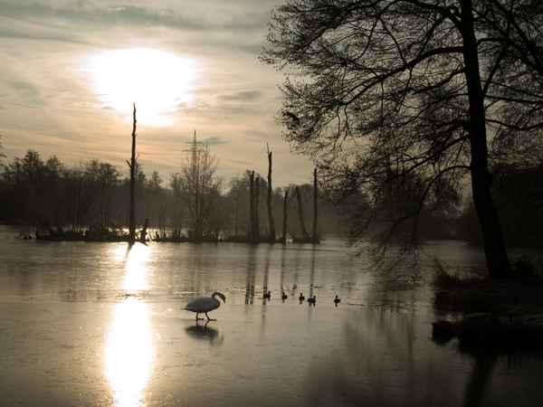 eine kleine bildergeschichte 09 : marsch auf dem eis