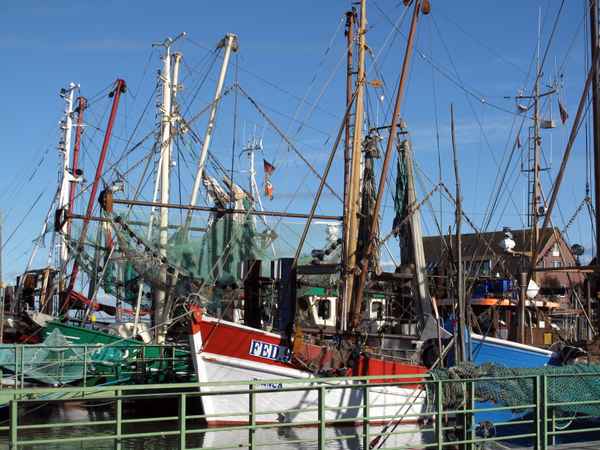 Fischerboote im Hafen