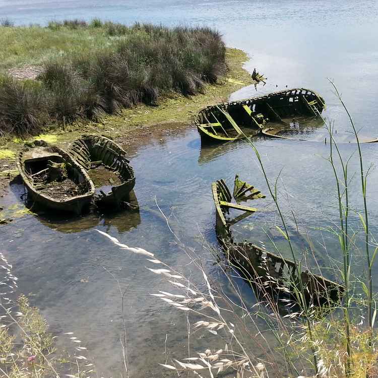 Wrack