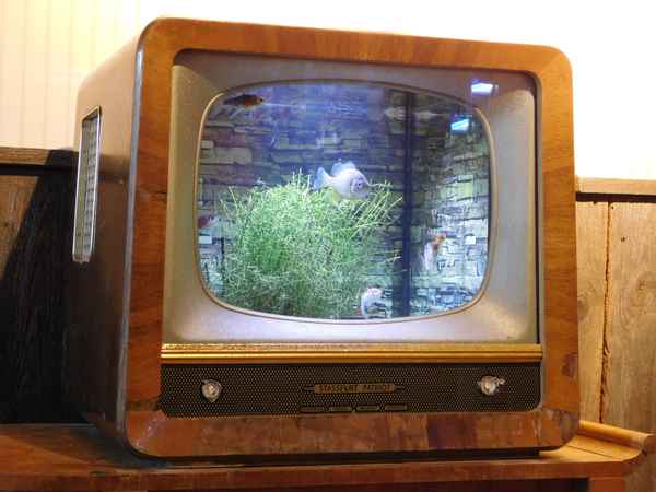 Aquarium im Fernseher