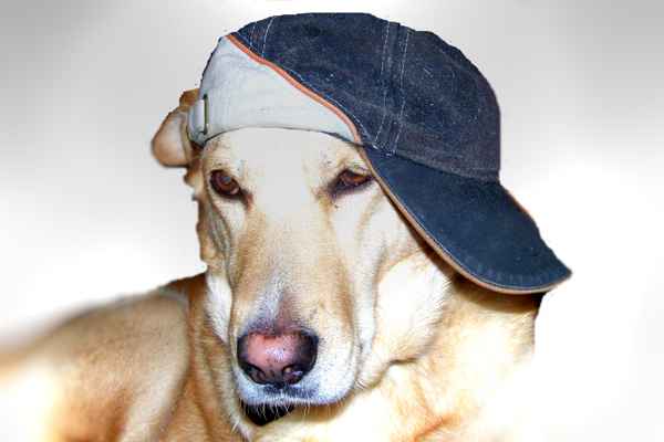 coolboy