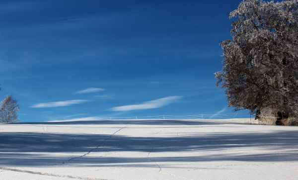 Spuren und Schatten im Schnee