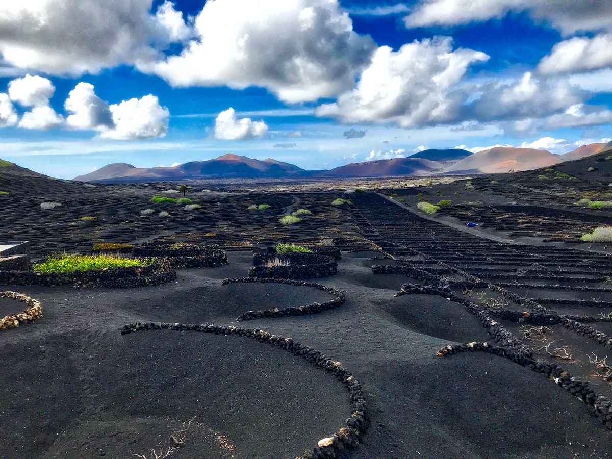 La Geria - Lanzarote