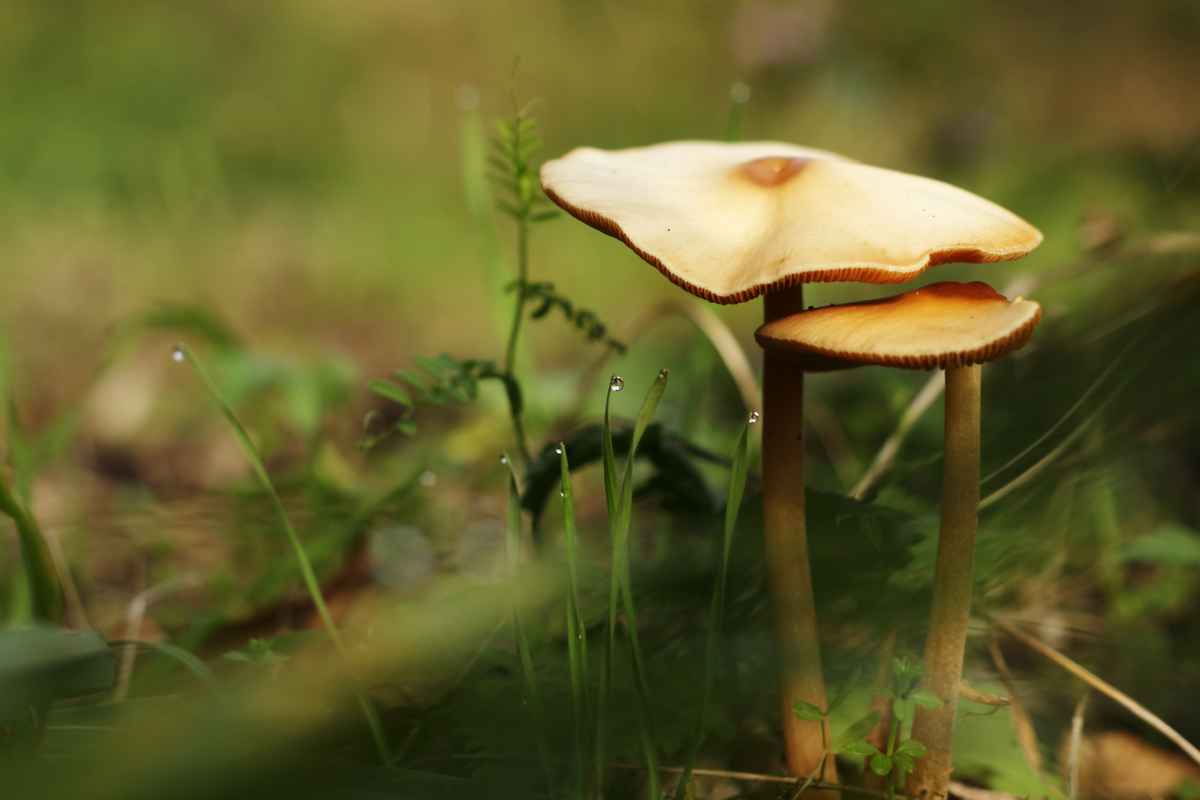 Wir trotzen der Kälte