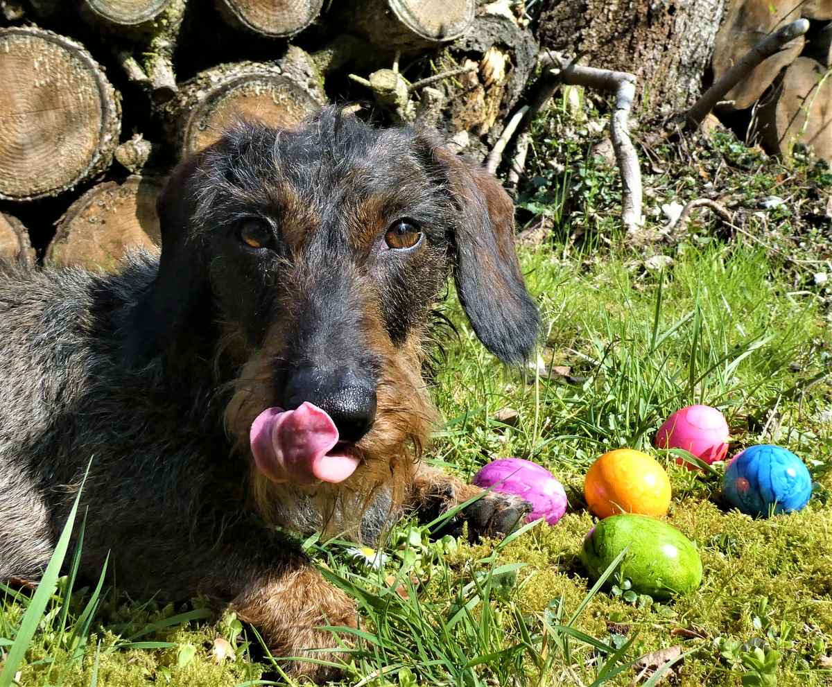 Könnten mir auch schmecken