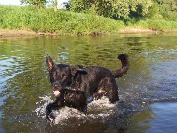 Yipie - ich hab ihn....