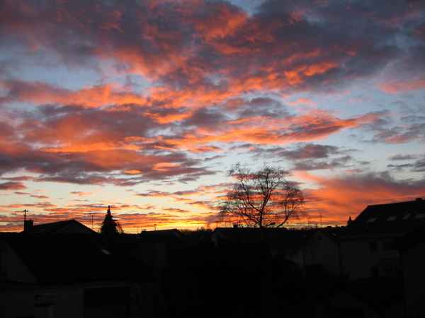 Morgenrot