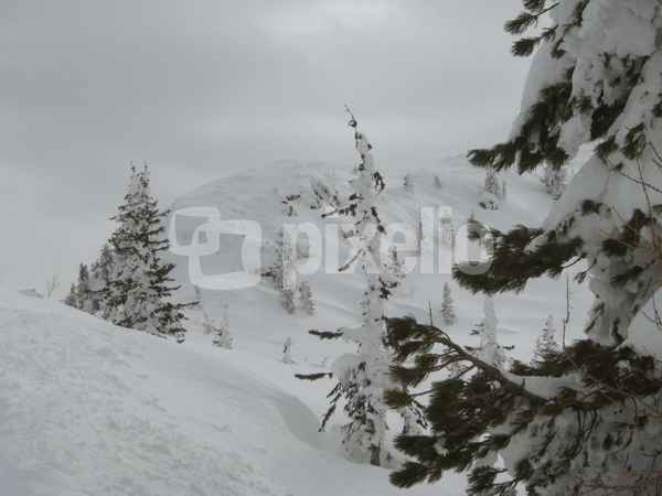 Schneelandschaft 39