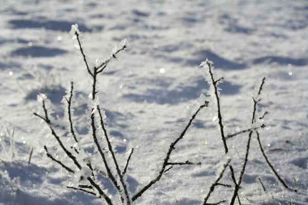 frostige Stimmung