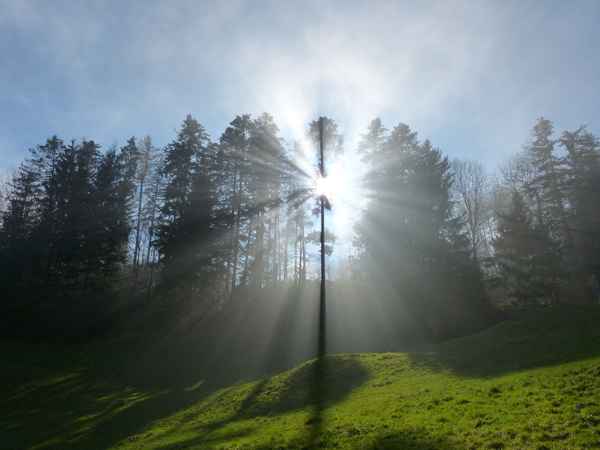 ein Stern erscheint am Firmament