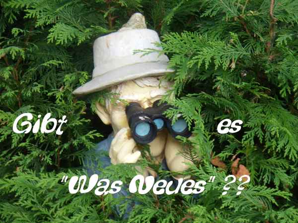 Gibt es " Was Neues" ???