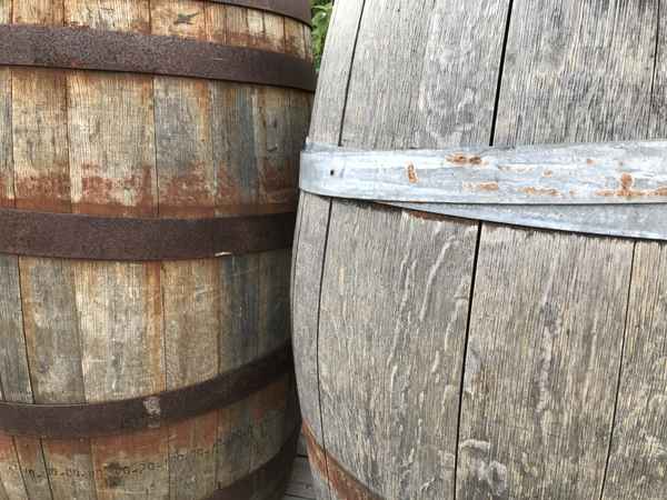 Alte Weinfässer 2 / Foto: Alexander Hauk