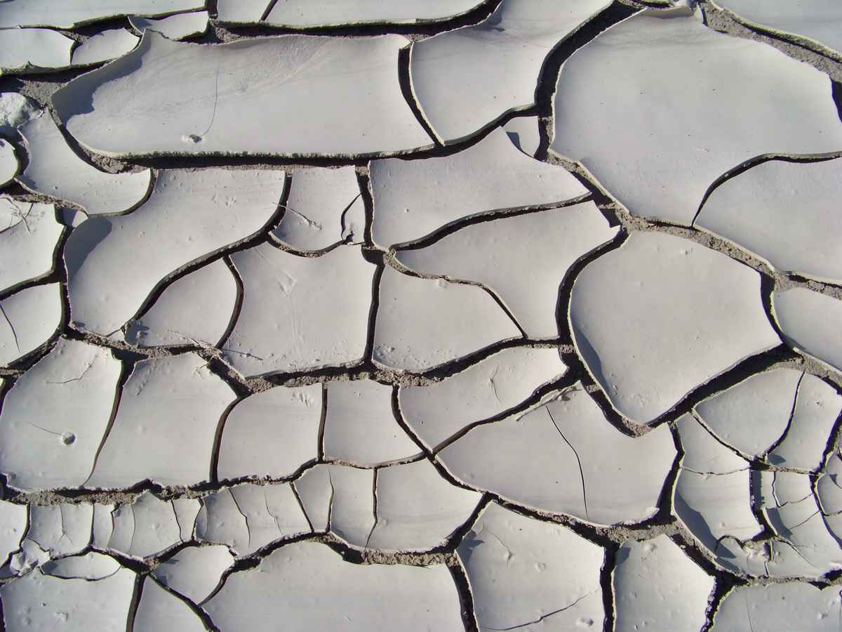 Ausgetrocknetes Flussbett