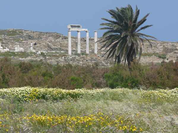 Ausgrabungen in Delos 2