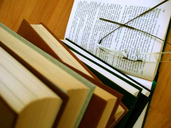 Bücherwurm_1