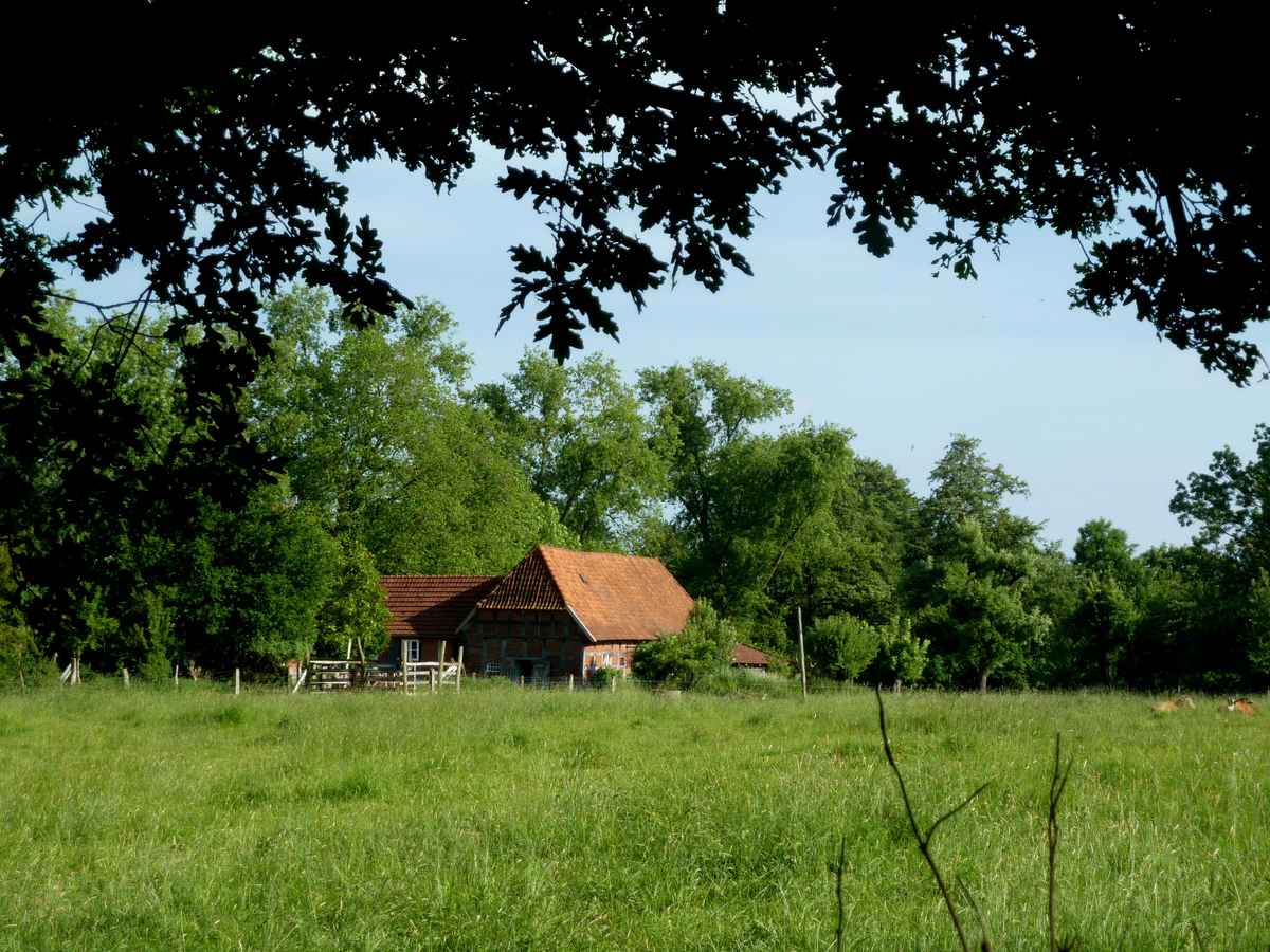 Der einsame Bauernhof