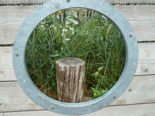 EinBlick in die Natur