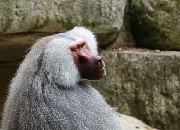 Schon wieder ein Foto...