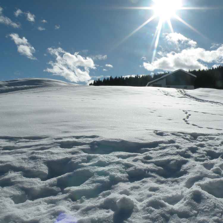 Winterimpressionen 21